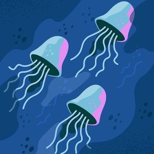 Meet your Posher, Miles